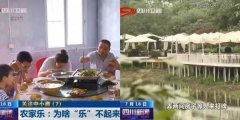 曾经风靡天下的农家乐，为何没人去了？-香港期货