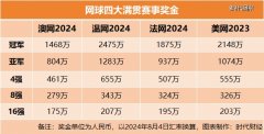 网球造星的残酷一面：打进天下前100名才委屈能养活自己-外盘期货